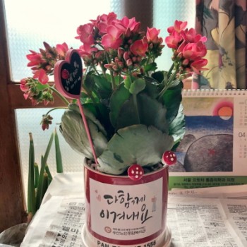 노인맞춤돌봄서비스(특화서비스) 코로나19 확산 관련 정서생활지원 이미지