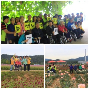 송산노인복지센터 가을 나들이 실시 이미지