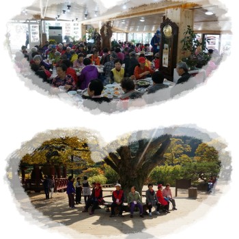 2014년도 송산노인종합복지관 가을나들이 실시 이미지