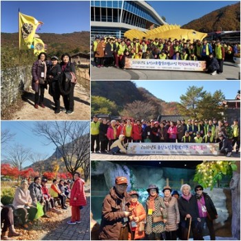 2018년 송산노인종합복지관 가을나들이 실시 이미지